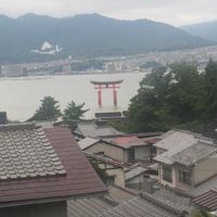 部屋からの眺めです。鳥居は１１時までライトアップされてました