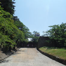 駐車場からの道です