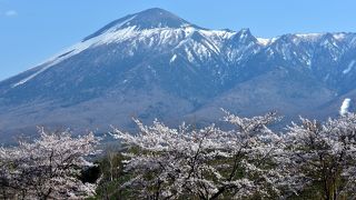 岩手山と桜