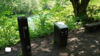 湖面の色は赤くはない、、、