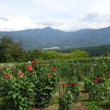 木島平やまびこの丘公園