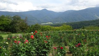 木島平やまびこの丘公園