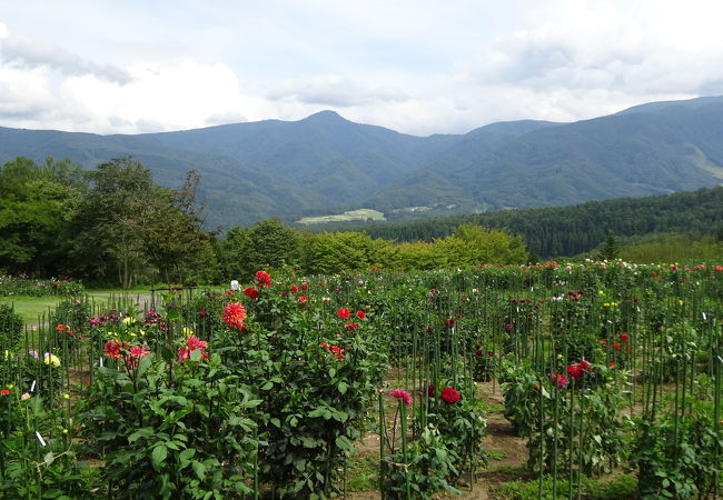 木島平やまびこの丘公園