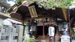 御苑の一画にひっそりと