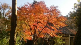 穴場紅葉スポット