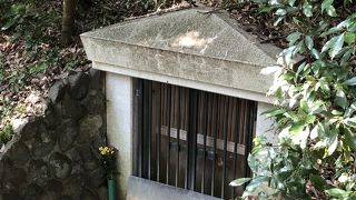 偶然見つかった…