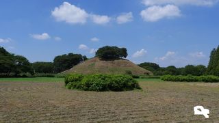 数多くの古墳が見ごたえあり