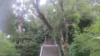 メジャーからマイナーまで、見所満載のお宮さんです