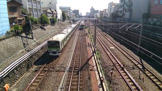 東京観光になくてはならない存在