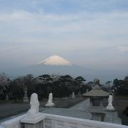 富士山と桜