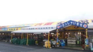 お魚市場