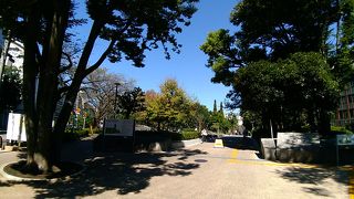 広々とした整備された公園