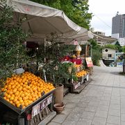 水辺のオープンカフェ