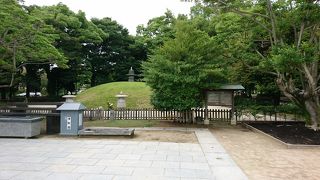 身元不明者が眠る