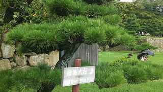 看板を目印に