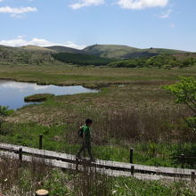 木道と湿原