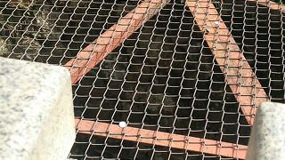 想像以上に大きく深い井戸