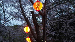 玉名市にあるお花見スポット『蛇ヶ谷公園』