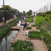 高瀬裏川花しょうぶまつりに行ってきました。