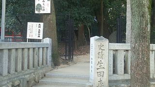 パワースポット