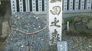 初めて見ました