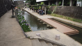 花しょうぶまつり開催時の高瀬裏川は、多くの人で賑わっていました。