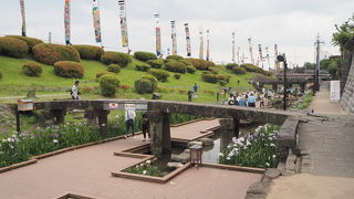 裏川水際緑地