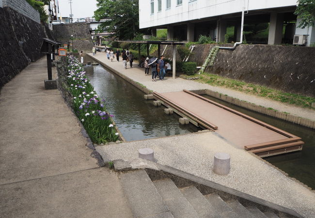 花しょうぶまつり開催時の高瀬裏川は、多くの人で賑わっていました。