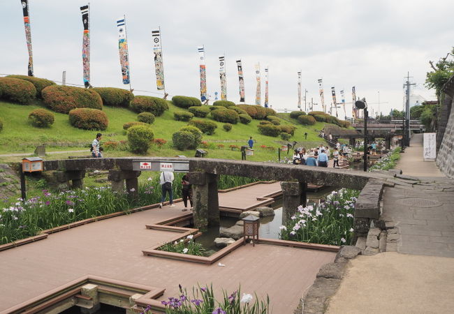 花しょうぶまつりが開催される裏川水際緑地