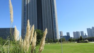 豊洲市場の近くにあります