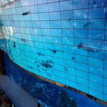 ショッピングモール