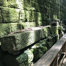 ジブリみたいですよね！