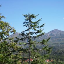 木に隠れた左側の山です