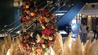 ベンチもたくさん