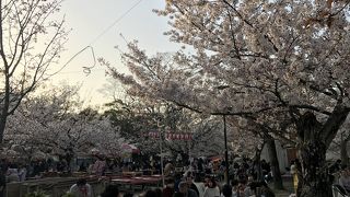 いつ来ても人がいっぱい