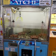 毛ガニのUFOキャッチャー