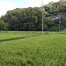香久山への登山道です