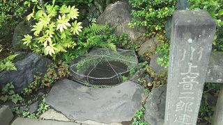 ちょっと近寄りがたい