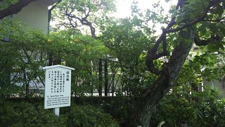 今も墓を見守る