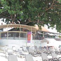 ビーチチェア。写真の３倍は置いてあります。