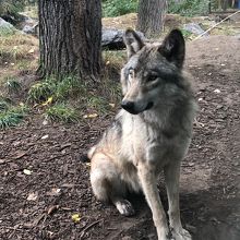 カルガリー動物園