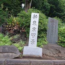 「新東京百景」の石碑が立ってることから境内は凄そう。