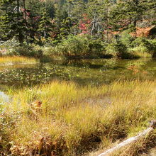 土俵沼の紅葉です。
