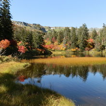 緑沼の紅葉です。