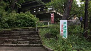 カフェもあった