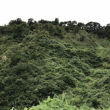 三の丸・二の丸・本丸の風景