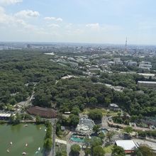 展望台からの眺め　テレビ塔が見えます