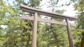 やはり広いですね