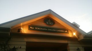 秋バラとハロウィン