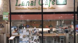 北国のワイハ。